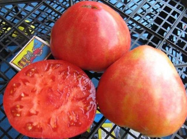 Tomato Alsou: descrierea soiului, caracteristici, cultivare și recenzii