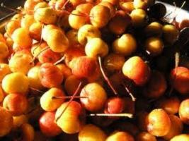 Jam de la merele paradis: o reteta pentru bomboane parfumate pentru iarna