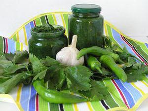 Green Adjika: rețetă pentru gătit, ingrediente
