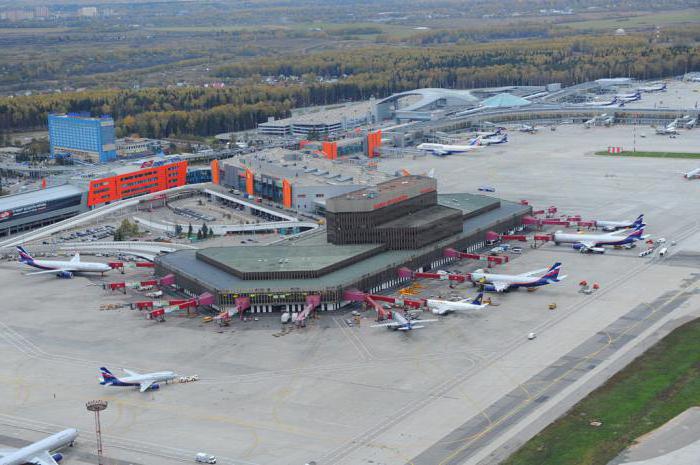 Studiul planului aeroportului Sheremetyevo - asistență pentru pasageri