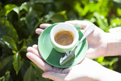 Cum de a bea cafea verde pentru pierderea in greutate: trei modalitati usoare