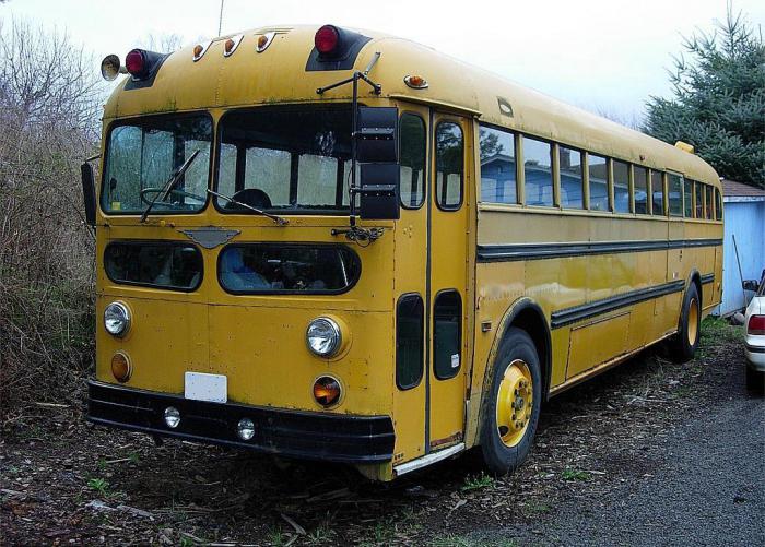 Reguli de bază pentru transportul copiilor în autobuze